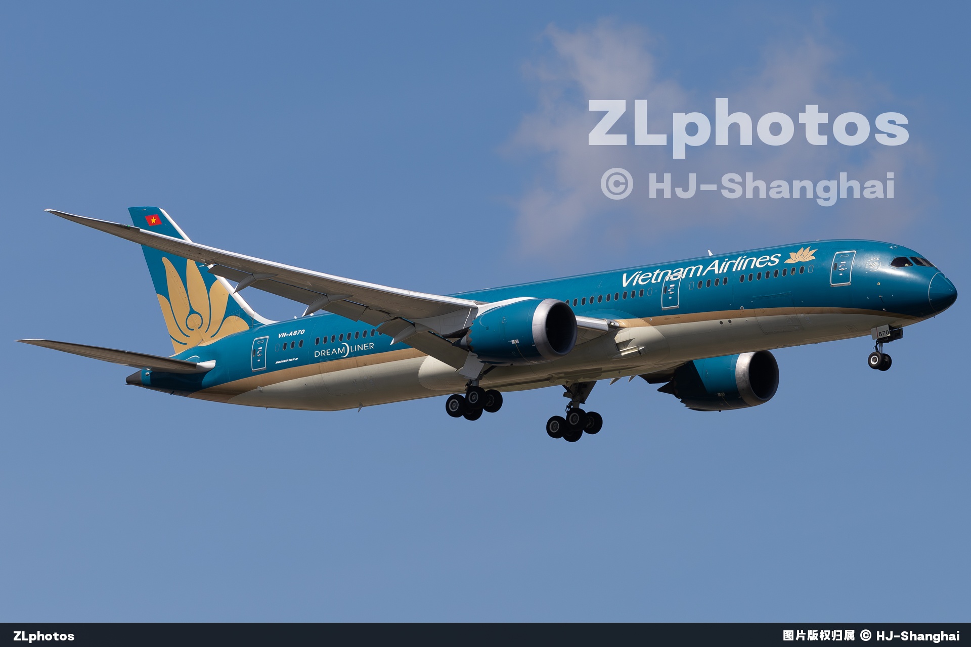 🇻🇳787